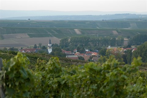 Saulheim 02